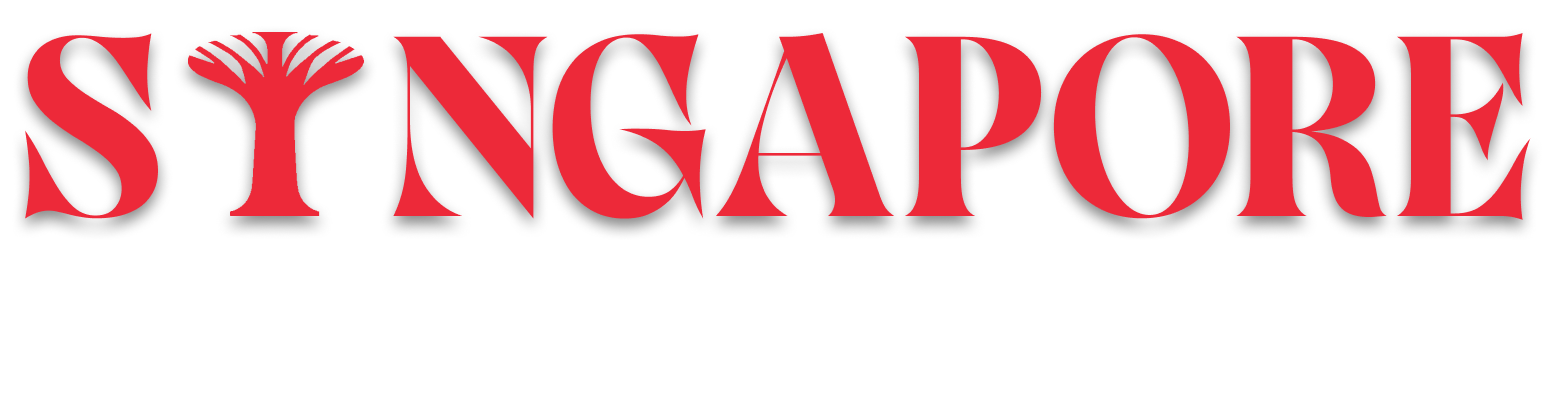 Singapore Day Tours Logo White